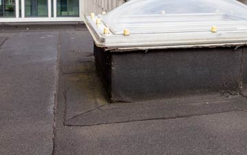 disadvantages of Druidston flat roofs
