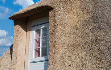 Druidston thatch roof disadvantages