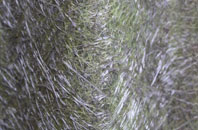 Druidston fibreglass roof work